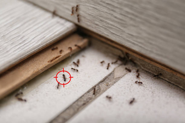 Sugar Grove, IL Pest Control Company
