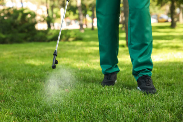 Best Termite Control Services  in Sugar Grove, IL