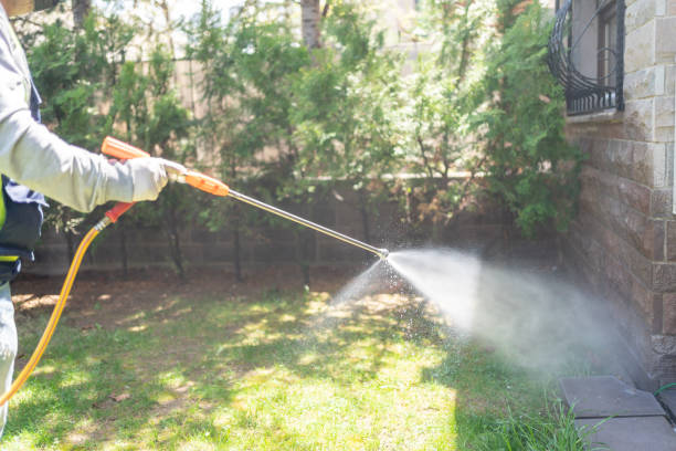 Flea Control Services in Sugar Grove, IL