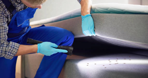 Best Commercial Pest Control Services  in Sugar Grove, IL