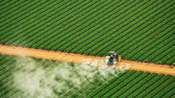 Best Bed Bug Extermination  in Sugar Grove, IL