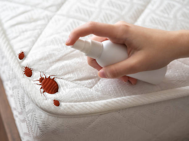 Best Pest Control for Businesses  in Sugar Grove, IL